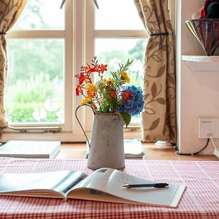 Traditional Stone Cottage With Sea Views In Snowdonia National Park Brynkir Екстер'єр фото