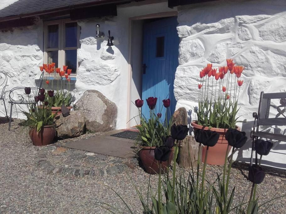 Traditional Stone Cottage With Sea Views In Snowdonia National Park Brynkir Екстер'єр фото