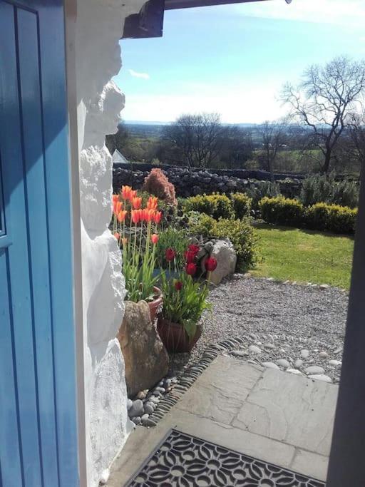 Traditional Stone Cottage With Sea Views In Snowdonia National Park Brynkir Екстер'єр фото